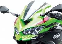 Kawasaki Ninja ZX-4R Modelo 2024/2024 - ABS